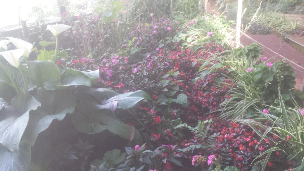 Homestay Woods Hut