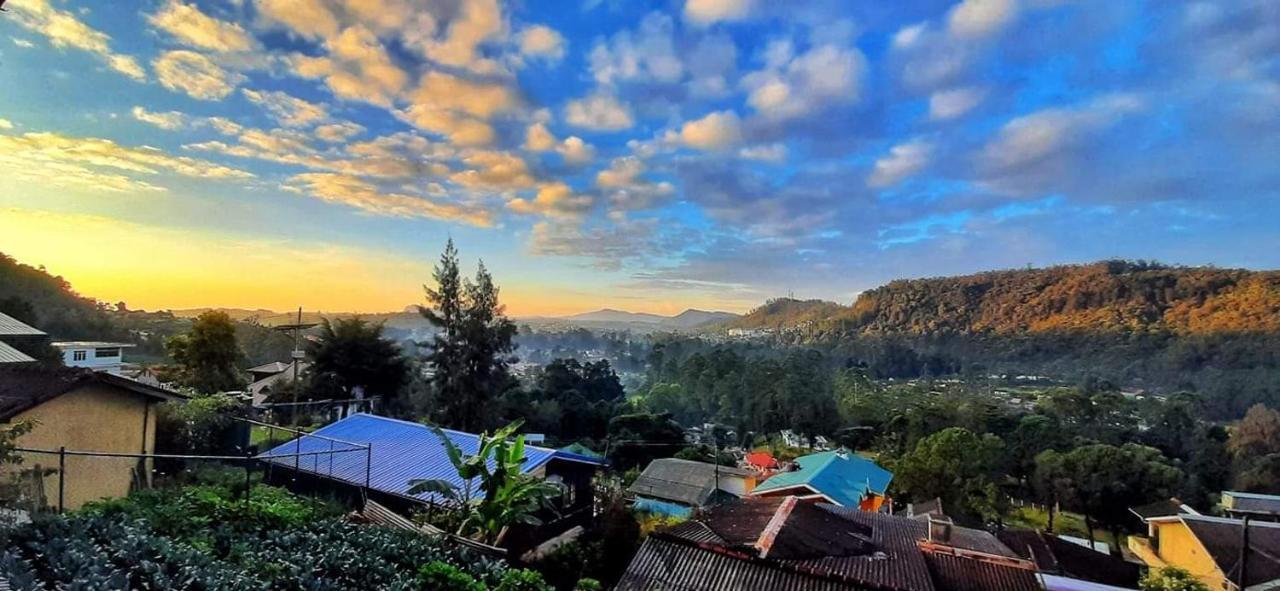 Woods Hut Homestay *