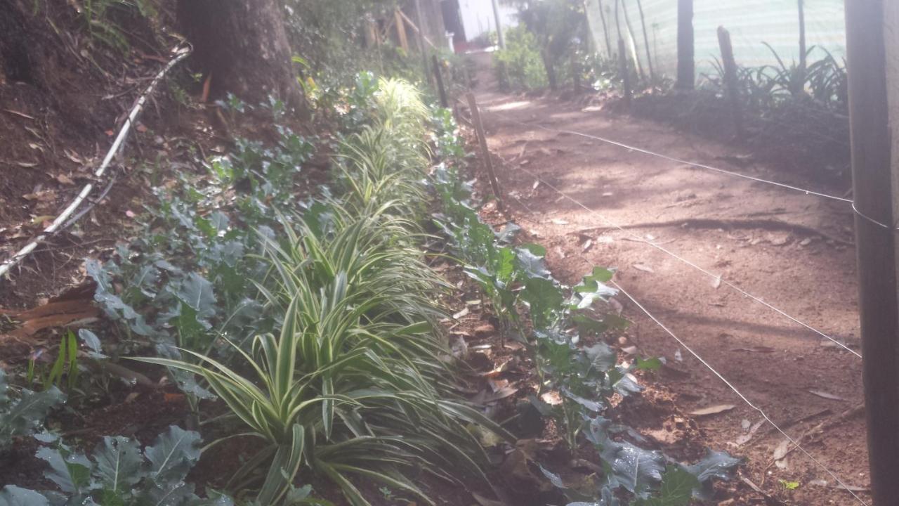 Woods Hut Homestay