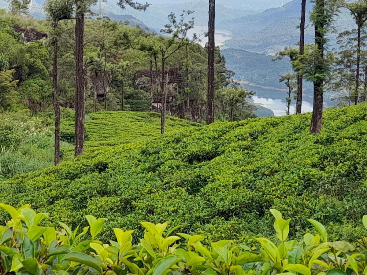 Homestay Woods Hut Nuwara Eliya
