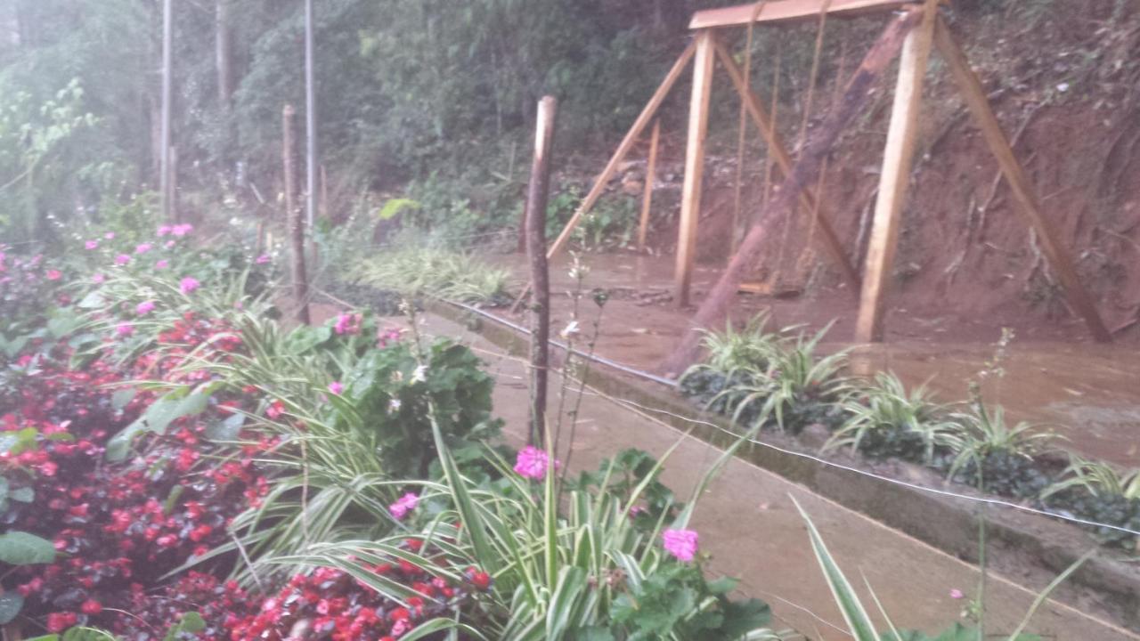 Homestay Woods Hut *