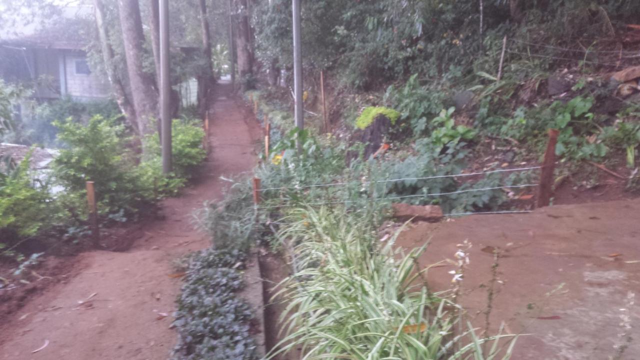 Homestay Woods Hut *