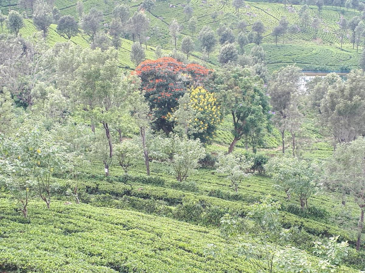 Woods Hut Nuwara Eliya