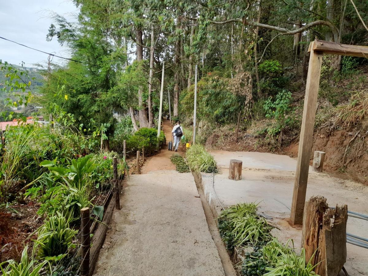 Homestay Woods Hut *