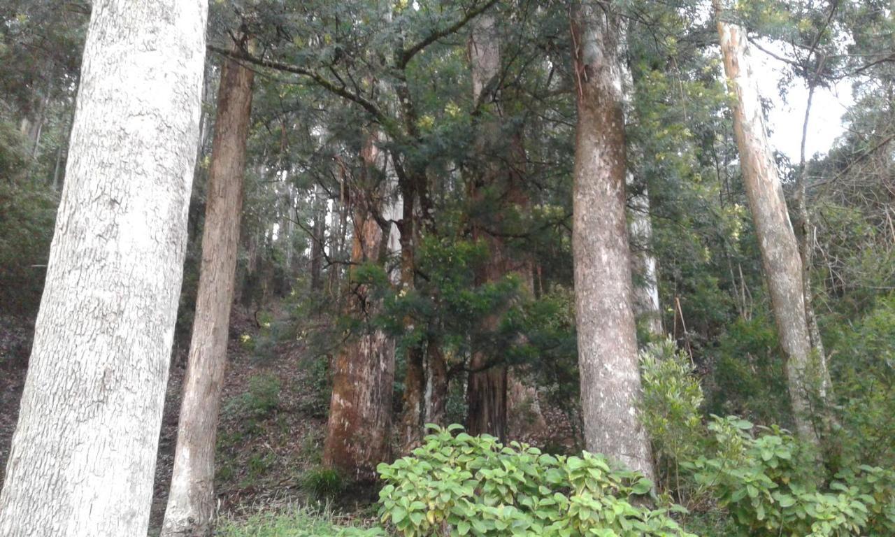Woods Hut Homestay Nuwara Eliya