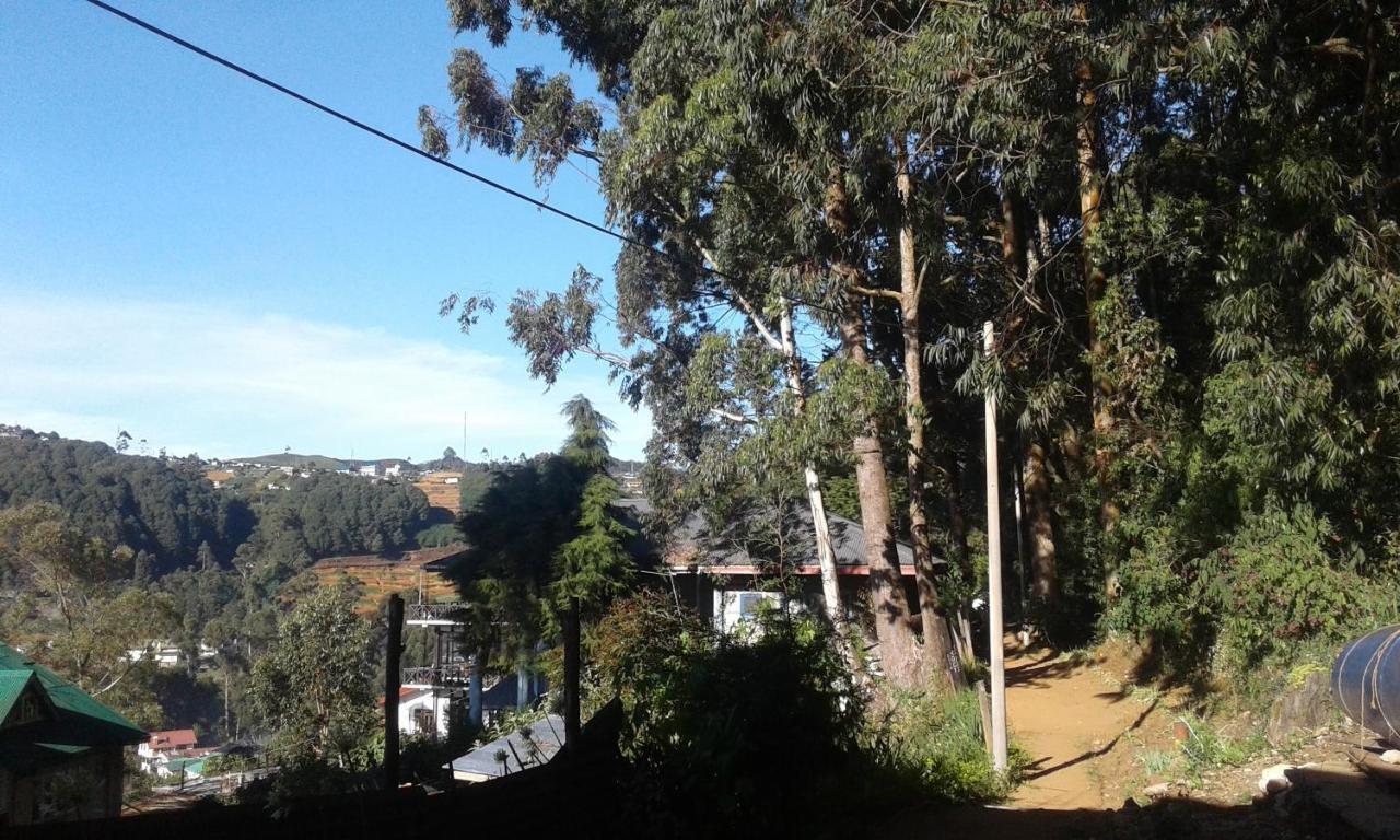 Woods Hut Homestay